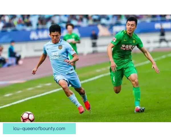 中国足协职业联赛财务审计及规范管理研究分析 中国足协职业联赛财务审计及规范管理研究分析